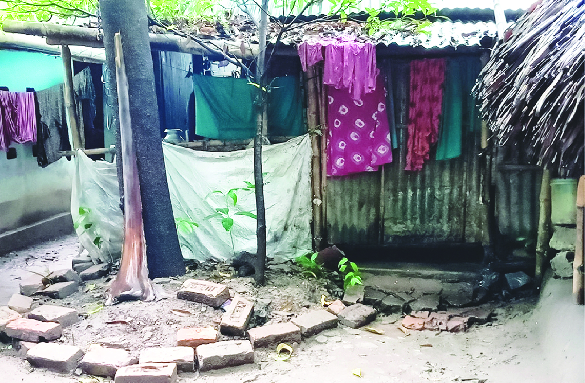 Image of সাকিব রায়হান